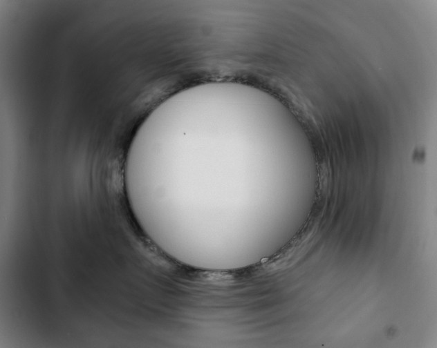 X0000103320719200809050959
