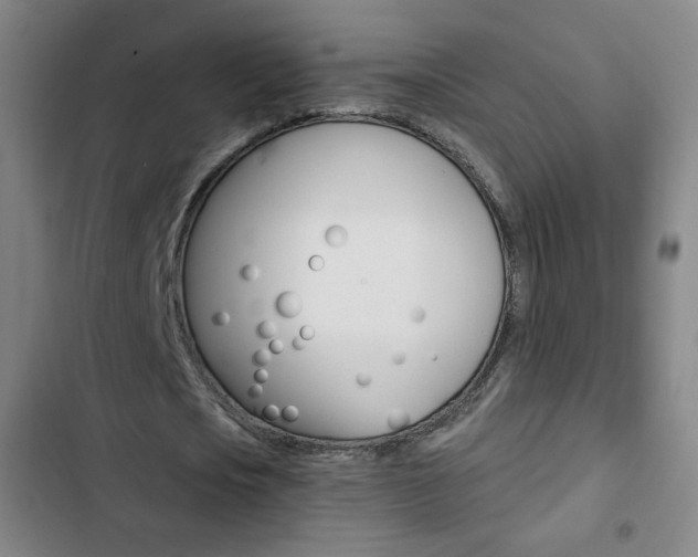X0000103320721200809050958