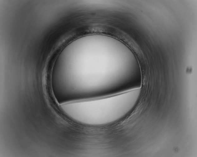 X0000103320722200809050958