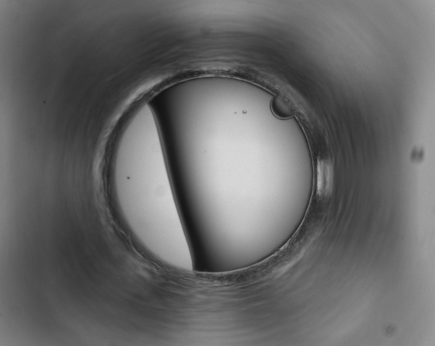 X0000103320723200809050958