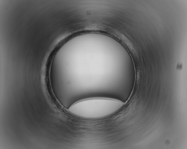 X0000103320724200809050958