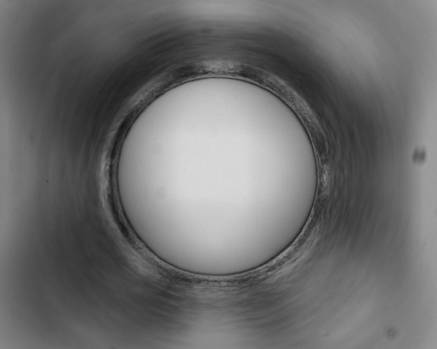 X0000103320725200809050958
