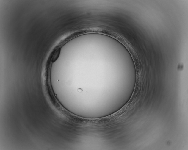 X0000103320726200809050958