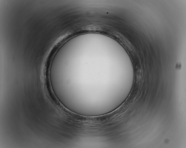 X0000103320727200809050958