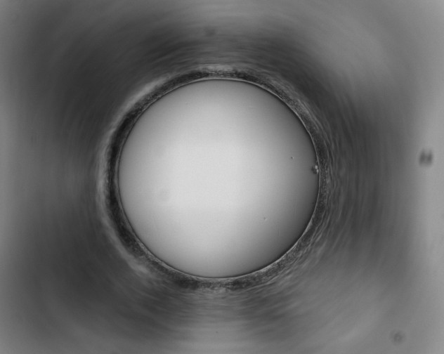 X0000103320728200809050958