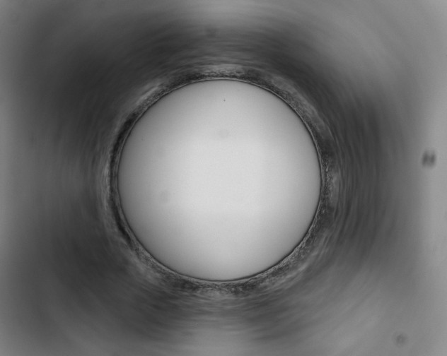X0000103320729200809050958