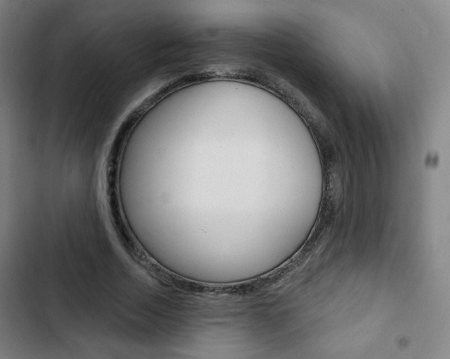 X0000103320730200809050958