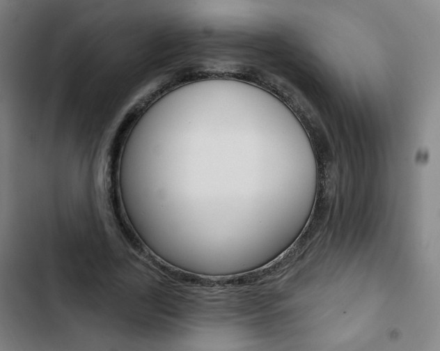 X0000103320731200809050958