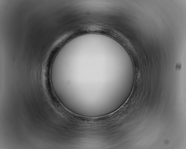 X0000103320732200809050958