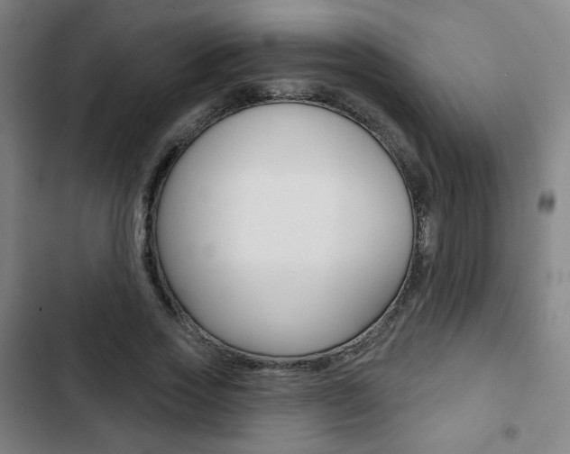 X0000103320733200809050958