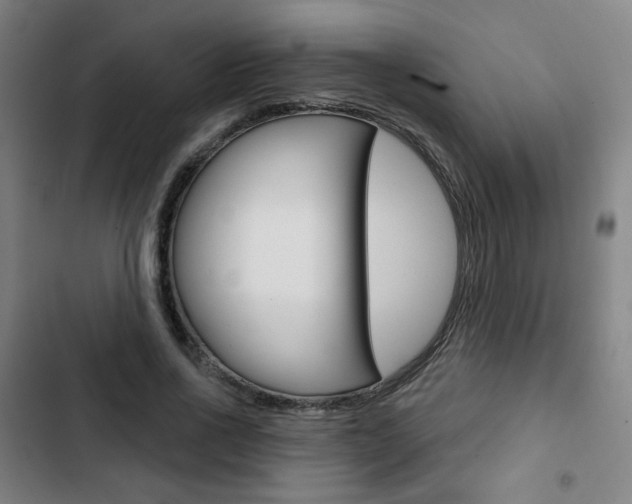 X0000103320734200809050958
