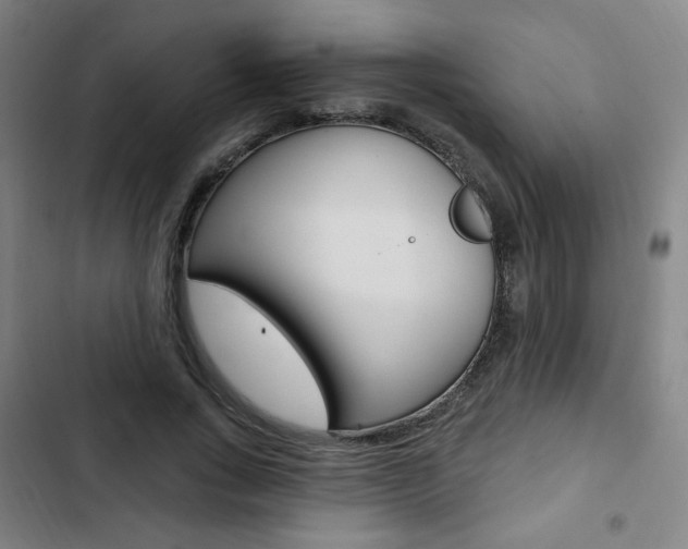 X0000103320735200809050958