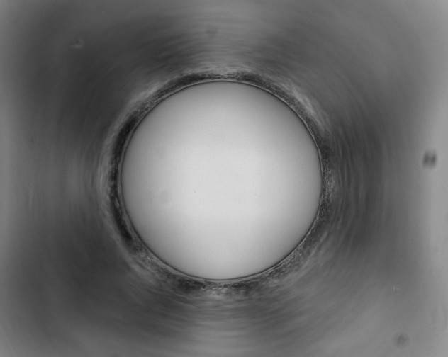 X0000103320736200809050958