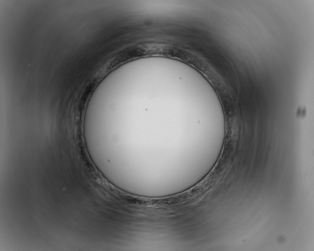 X0000103320737200809050958