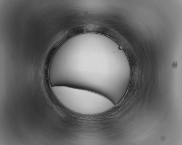 X0000103320738200809050959
