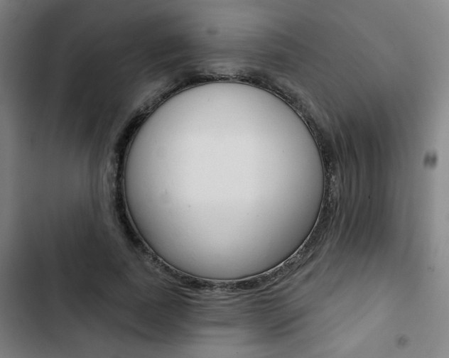 X0000103320739200809050959