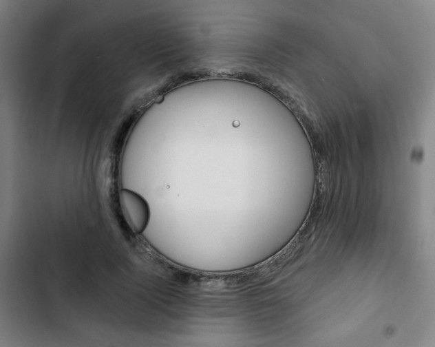 X0000103320740200809050959