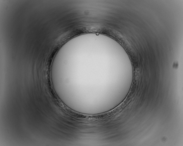 X0000103320741200809050959