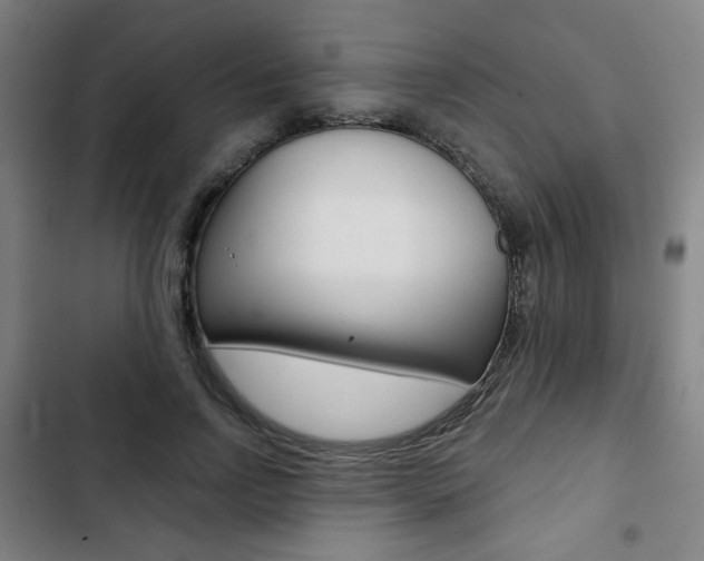X0000103320742200809050959