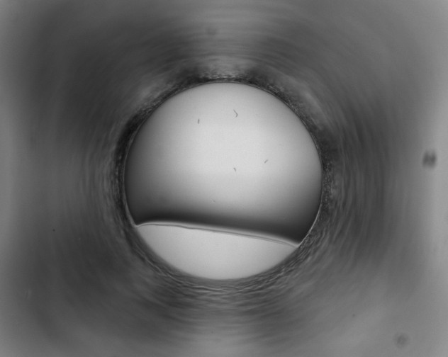 X0000103320743200809050959
