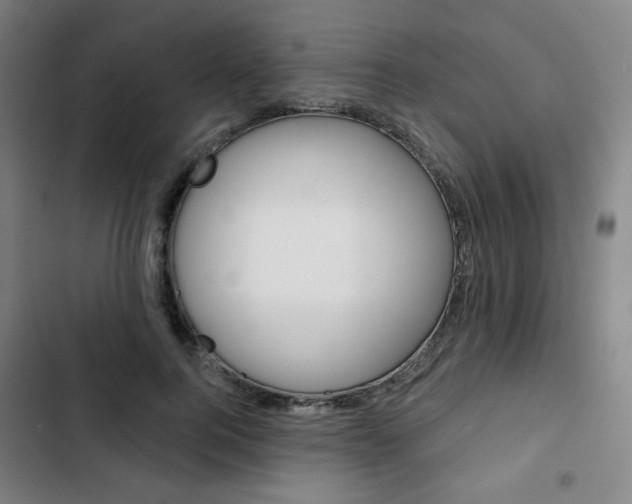 X0000103320744200809050959