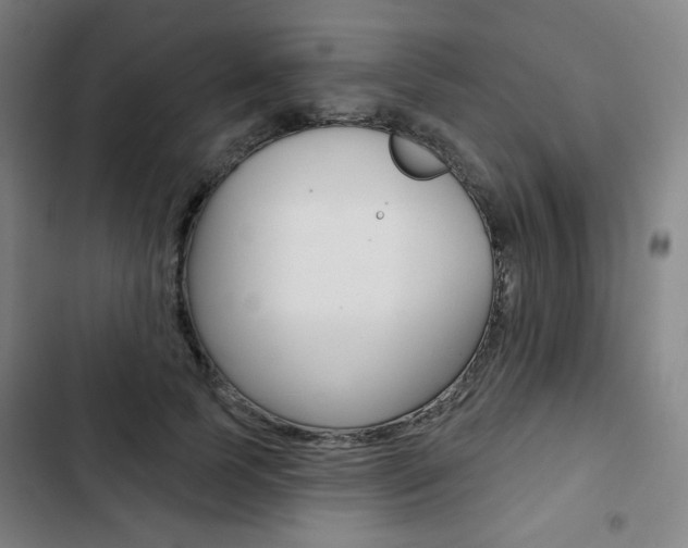 X0000103320745200809050959