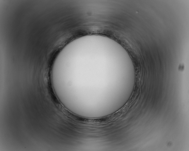 X0000103320746200809050959
