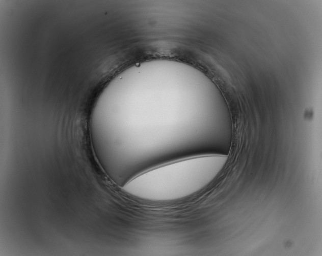X0000103320747200809050959