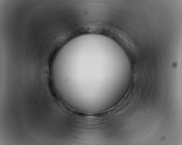 X0000103320748200809050959