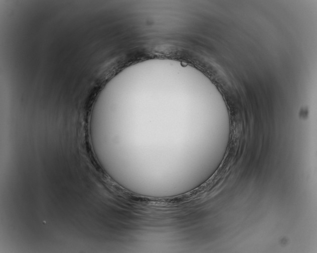 X0000103320749200809050959