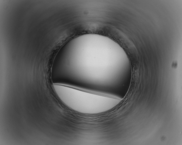 X0000103320750200809050959