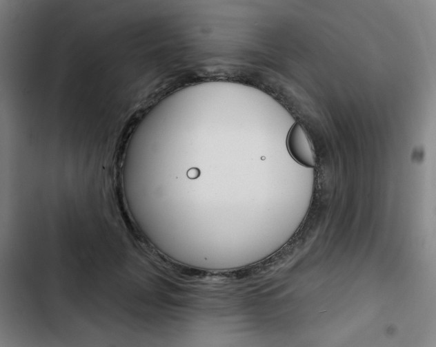 X0000103320751200809050959