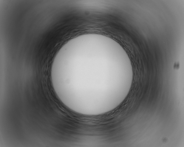 X0000103320752200809050959