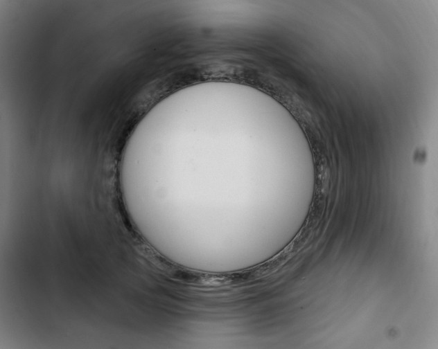 X0000103320753200809050959