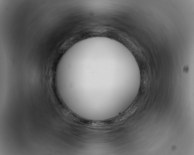 X0000103320758200809050959