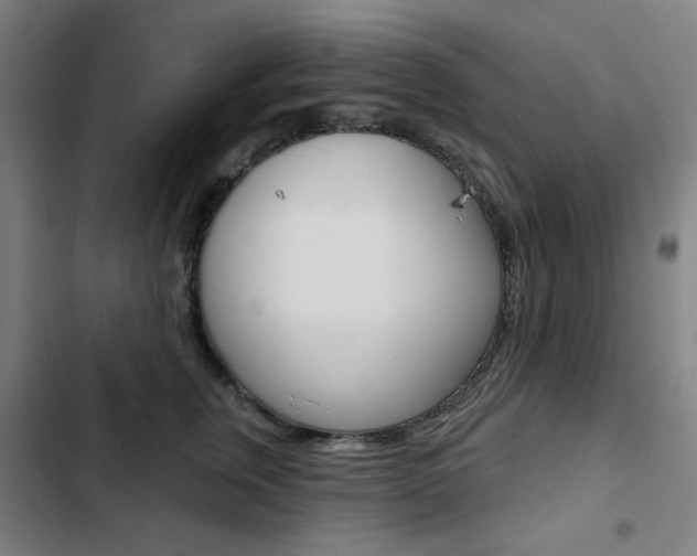 X0000103320759200809050959