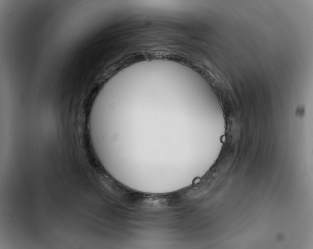 X0000103320760200809050959