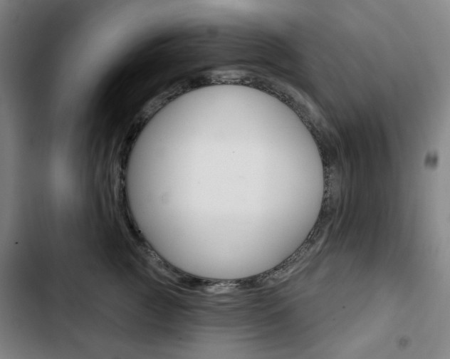 X0000103320761200809050959