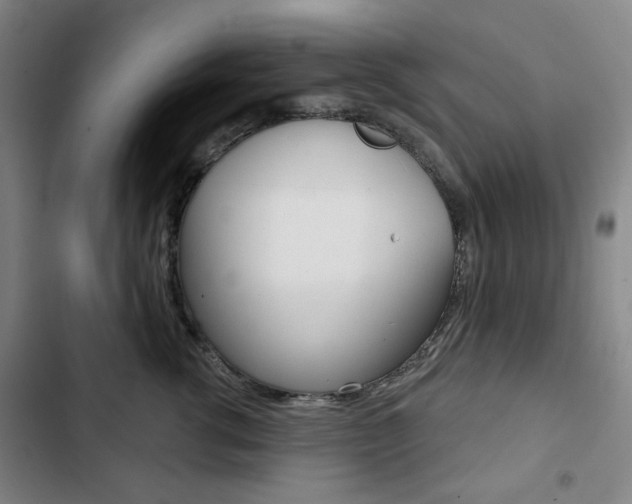 X0000103320762200809050959