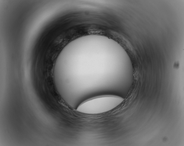X0000103320763200809050959