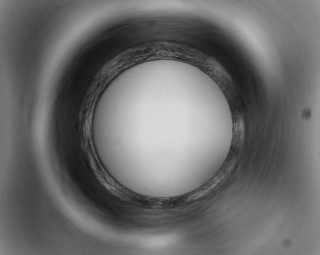 X0000103320765200809050959