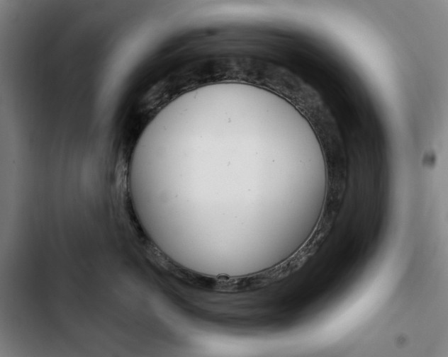 X0000103320766200809050959