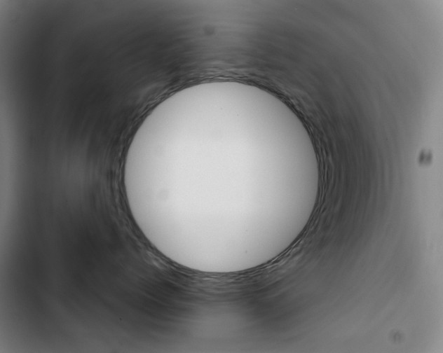 X0000103320768200809050959