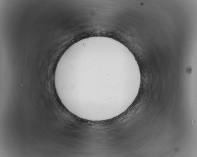 X0000103320769200809050958