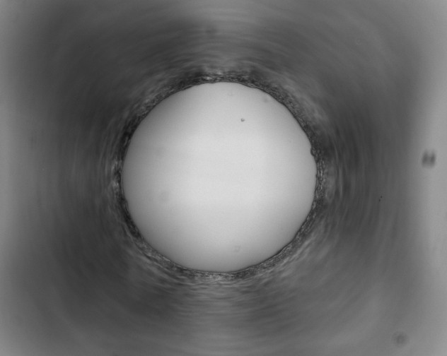 X0000103320770200809050958