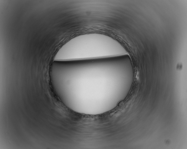 X0000103320771200809050958