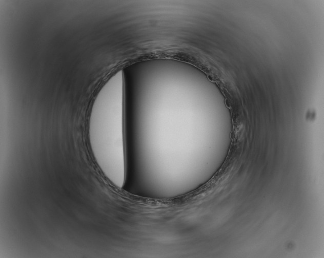 X0000103320772200809050958