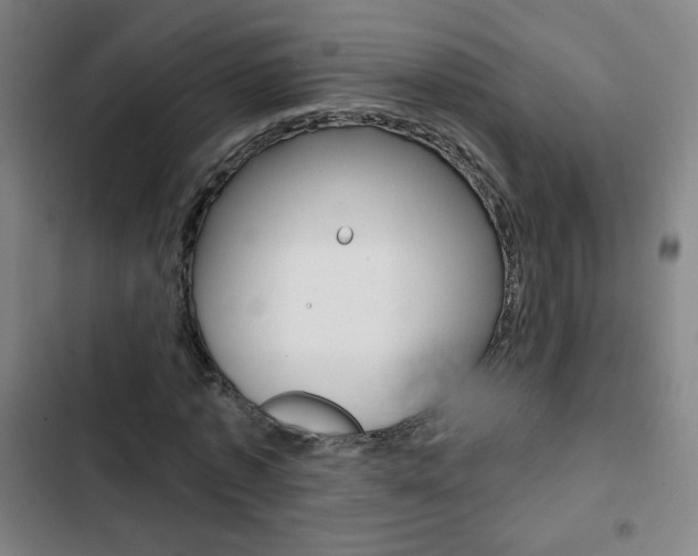 X0000103320773200809050958