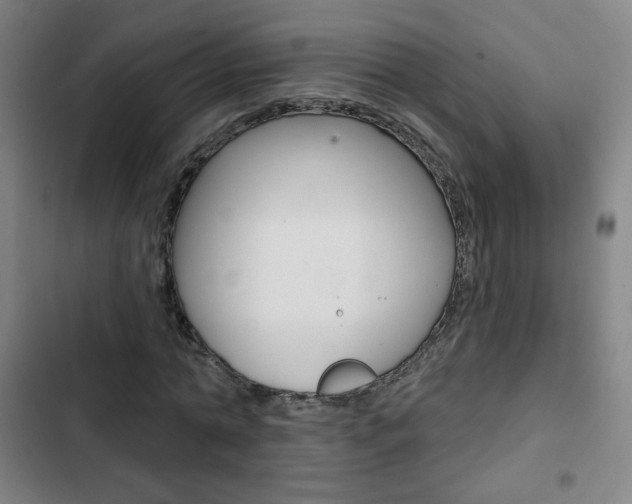 X0000103320774200809050958
