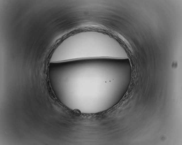 X0000103320775200809050958